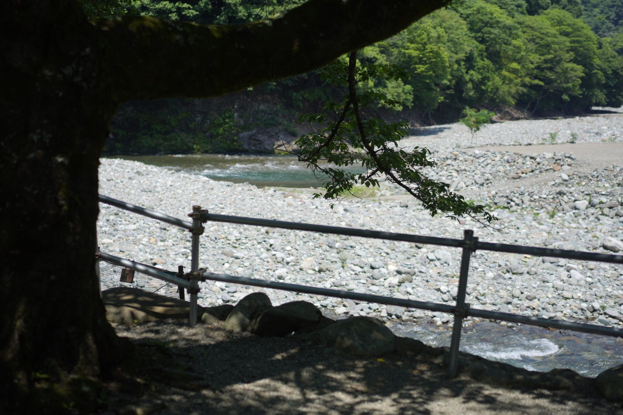 道志渓谷キャンプ場の場内の写真